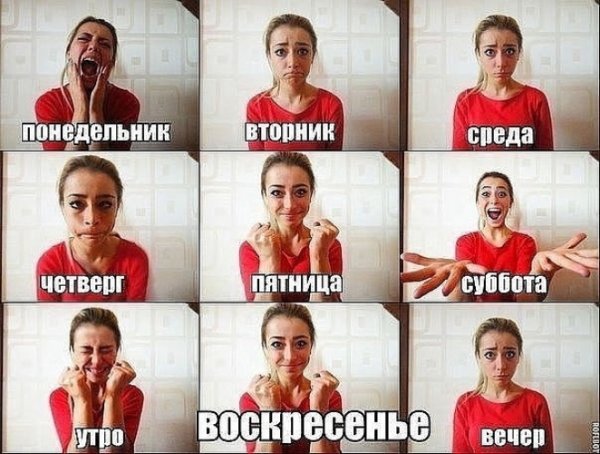 Мем понедельник вторник среда