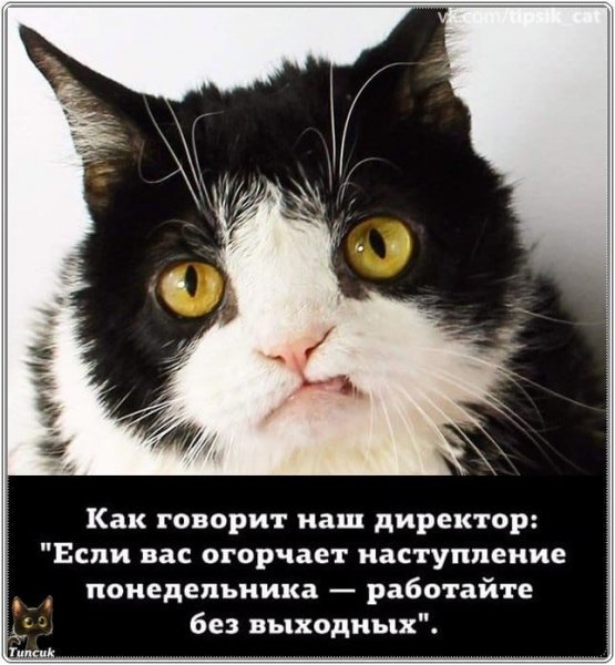 Работа без выходных
