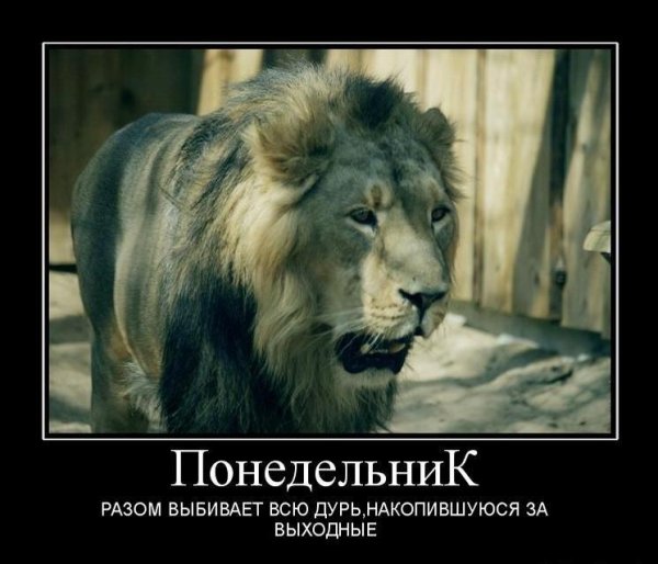 Понедельник демотиваторы