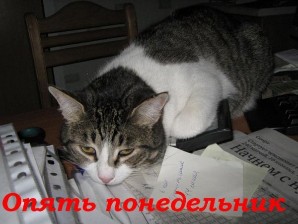 Опять понедельник
