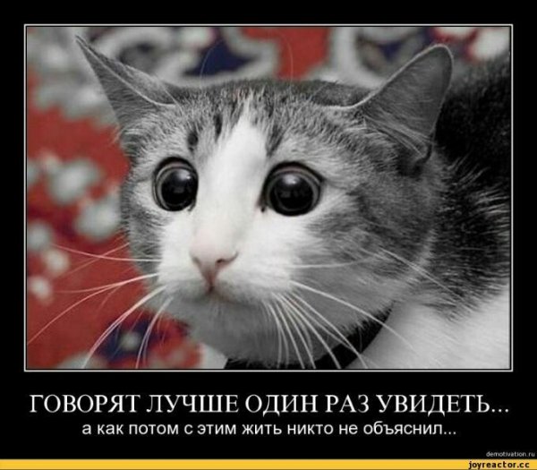 Опять понедельник смешные