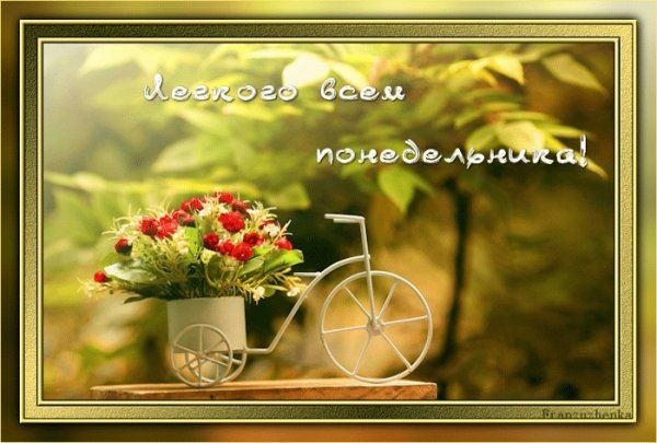 Прекрасного августовского понедельника
