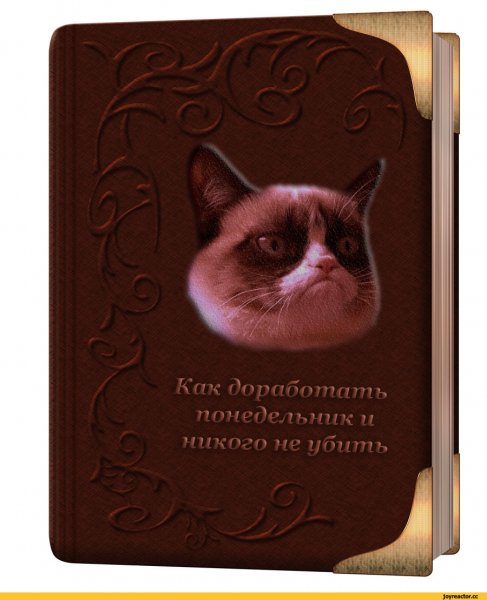 Смешно про вечер понедельника