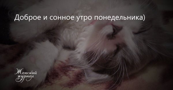 Доброе сонное утро