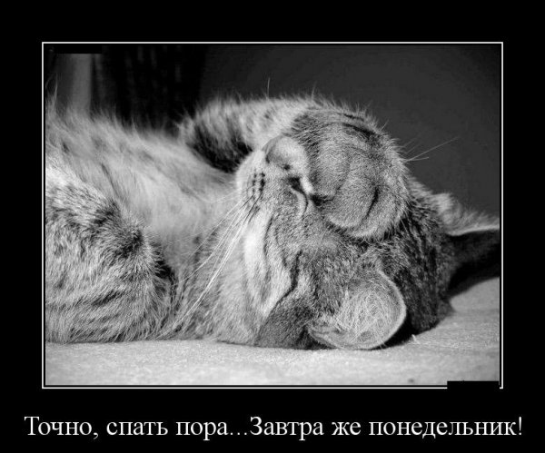Спокойной ночи завтра понедельник