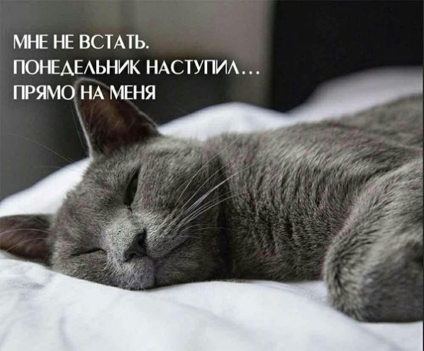 Понедельник день тяжелый
