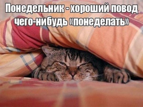 Спокойной ночи под одеялом