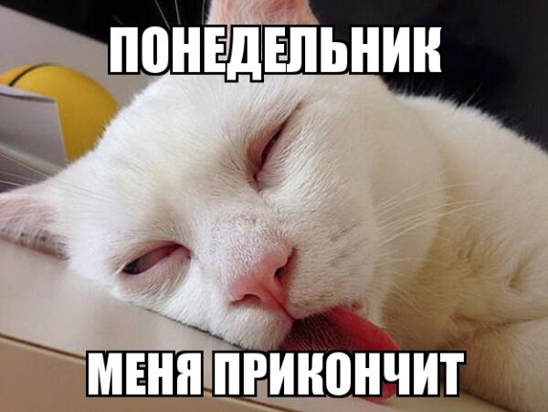 Конец понедельника