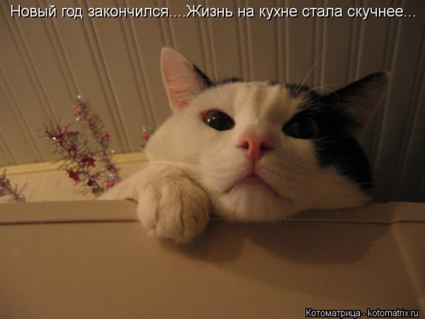 Заканчивается год