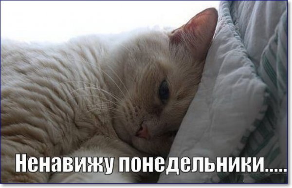 Грустный понедельник