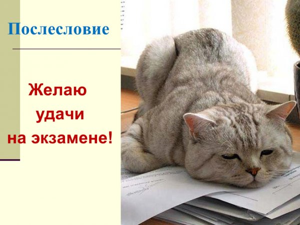 Пожелать удачи на экзамене