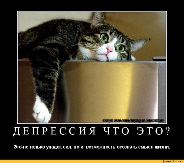 Приколы от депрессии