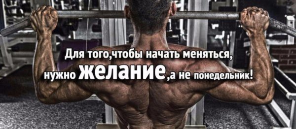 Рабочая неделя началась