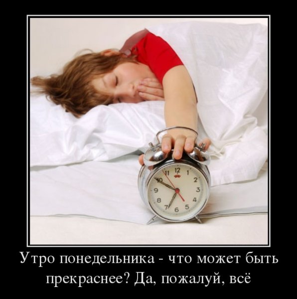 Утро понедельника приколы