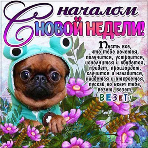 Пожелания с добрым утром понедельника прикольные