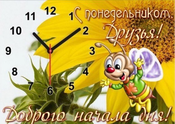 Открытки с добрым утром понедельника прикольные