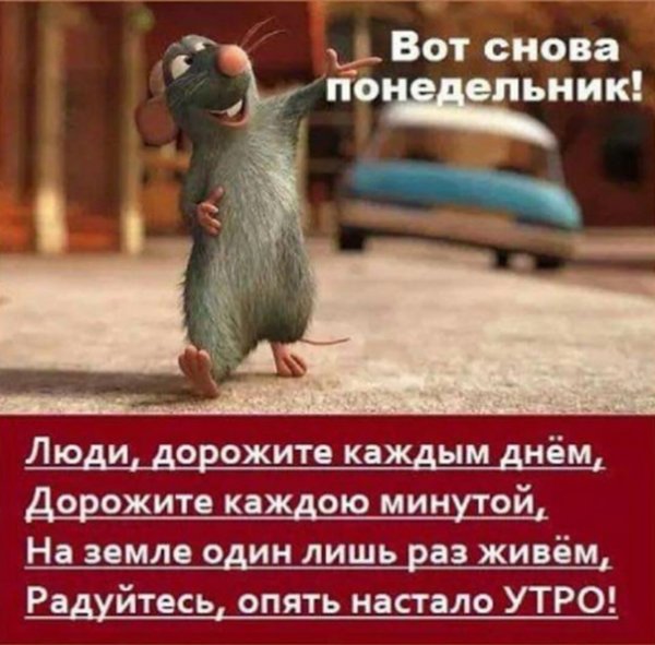 Вот и снова понедельник