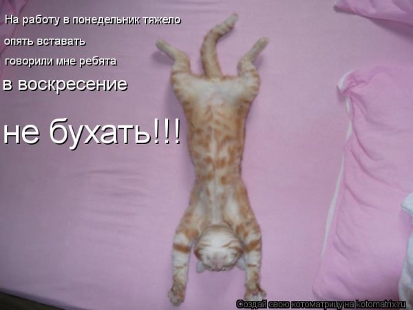 Завтра понедельник на работу