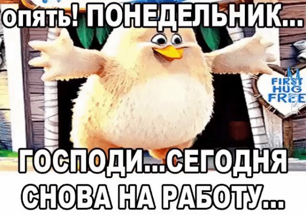 Ура опять понедельник