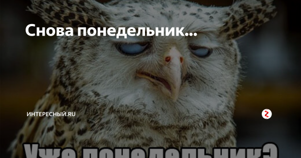 Ёптваюмать опять понедельник картинки