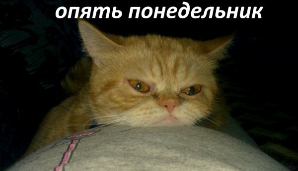 Открытки с понедельником