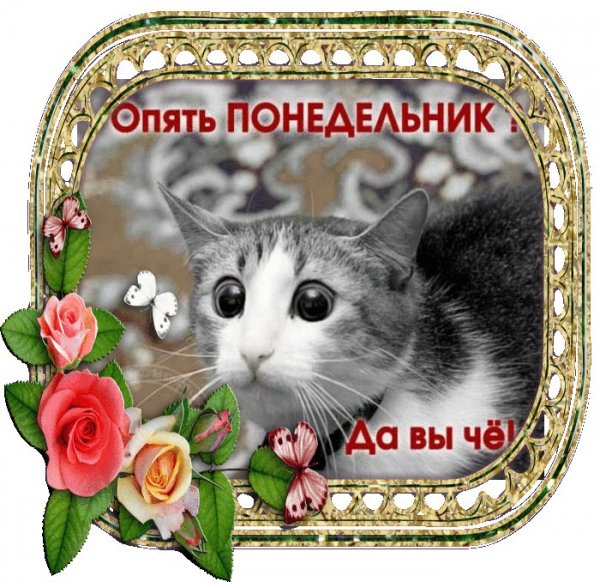 Демотиваторы завтра понедельник