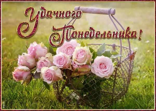 Чудесного понедельника красивые