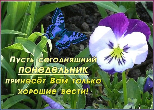Последний понедельник года открытки