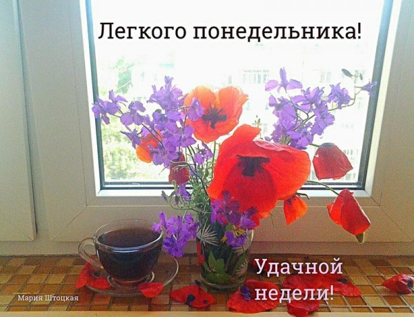 Легкого понедельника тебе