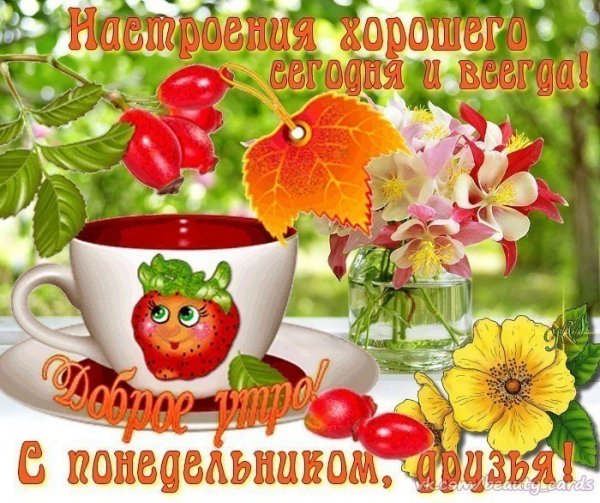 Доброе утро удачной недели