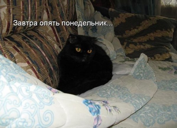 Завтра понедельник