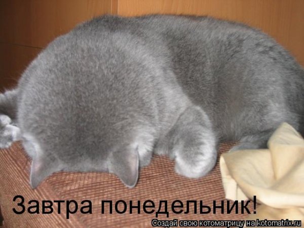 Спокойной ночи завтра понедельник