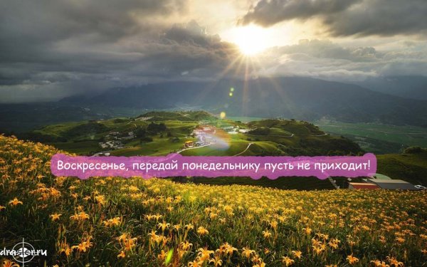 Воскресенье на работу прикольные