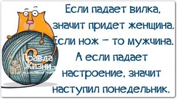 Понедельник не виноват