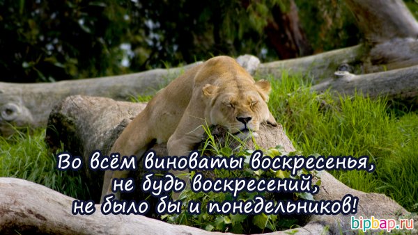 Опять понедельник на работу