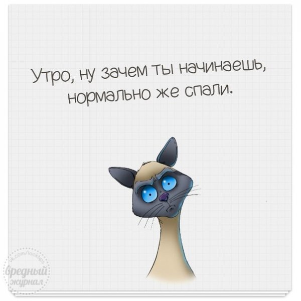Статусы про утро прикольные