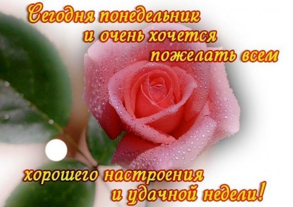 Хорошего понедельника и отличного настроения