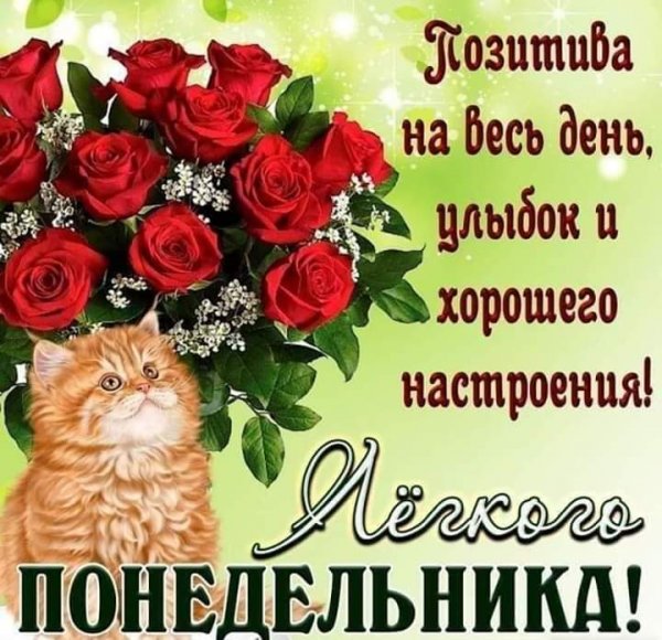 Поздравление с понедельником