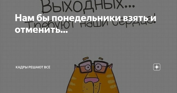 Прикольные коты в понедельник