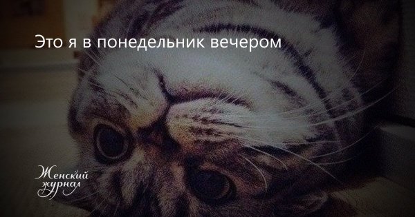 Вечер понедельника