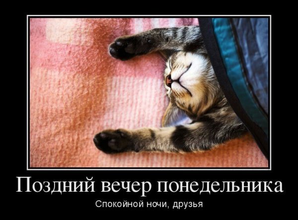 Вечер понедельника