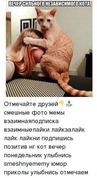 Приколы про вечер понедельника