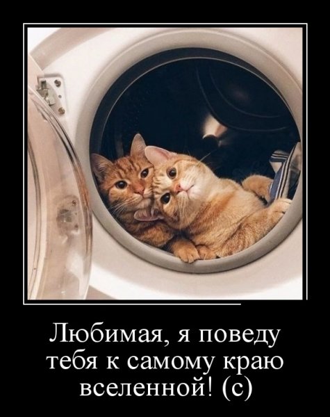 Прикольные демотеватор