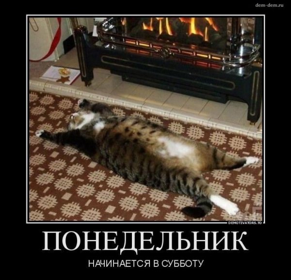 Понедельник демотиваторы смешные