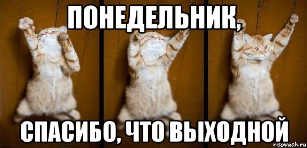 Понедельник выходной приколы