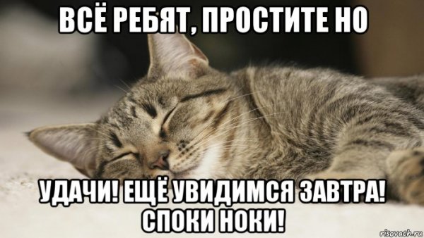 Всем спокойной ночи я спать