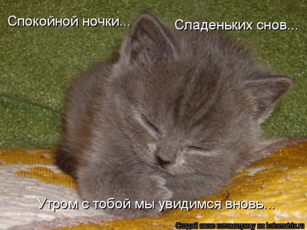 Сладких снов до завтра