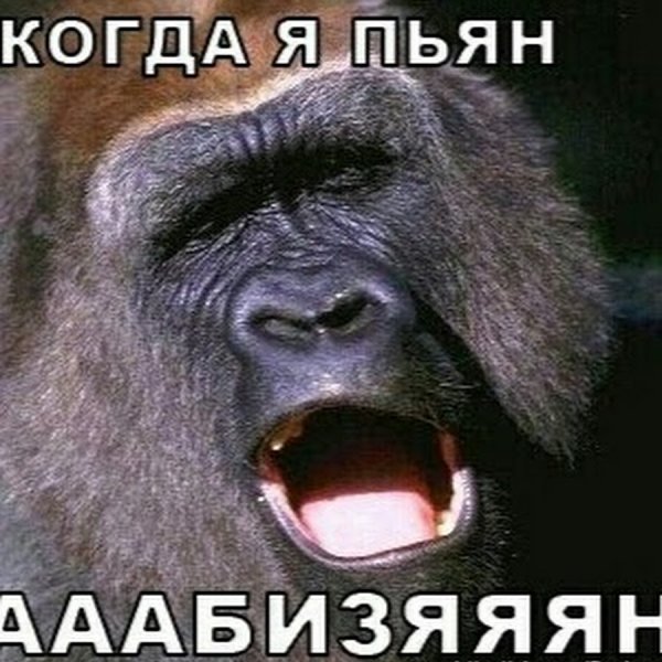 И снова понедельник