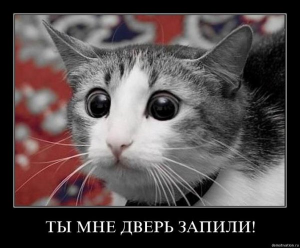 Юмор в понедельник утром
