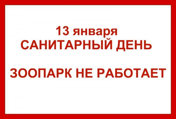 Санитарный день в библиотеке зимой